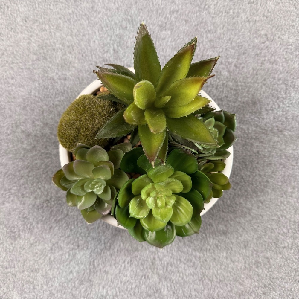 Faux Succulent Arrangement in White Textured Ceramic Pot Modern Home Decor 6in